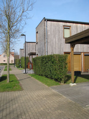 img 6535websitehout